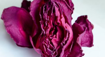 Conseil sexe : Comment faire pour être humide "naturellement" ?