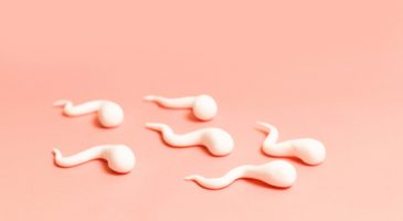 Actu : FAUT-IL SAUVER LE SOLDAT SPERMATOZOïDE ? 