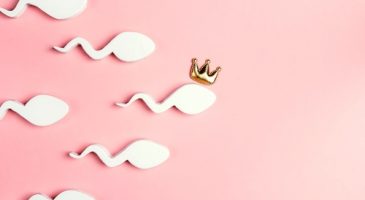 Une course de spermatozoïdes pour sensibiliser à la fertilité